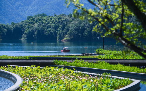 緣分跑過山 200到300，湖亂跑的報(bào)名費(fèi)究竟觸動(dòng)了誰的神經(jīng)