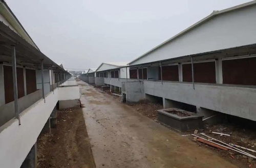 畜禽養殖清潔能源采暖工程 個性化的高效節能新典范