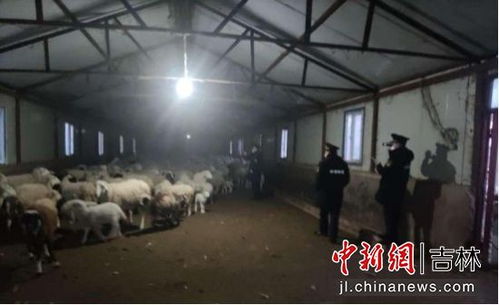 延吉市開展規模化畜禽養殖場專項檢查 助力綠色畜牧業健康發展