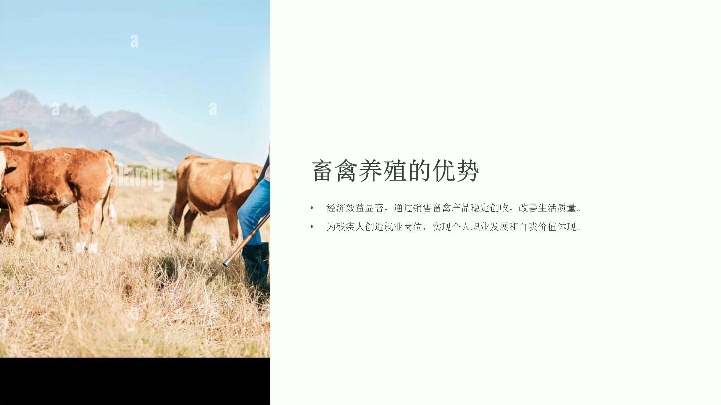 殘疾人畜禽養殖培訓課件 畜禽養殖